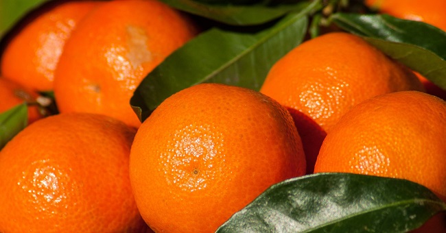 Tariff turmoil impacting citrus export growth 